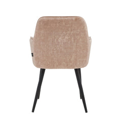 Beverly Dining Chair - Champagne Adore Velvet