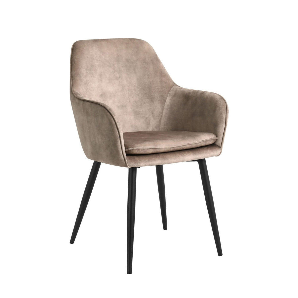Levan Dining Chair - Champagne Adore Velvet