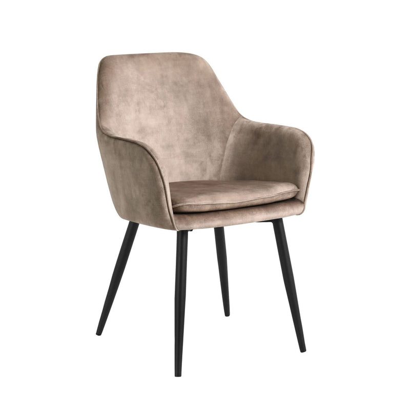 Levan Dining Chair - Champagne Adore Velvet