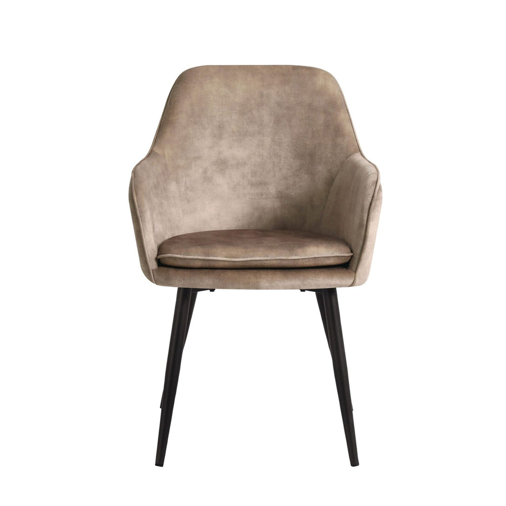 Levan Dining Chair - Champagne Adore Velvet