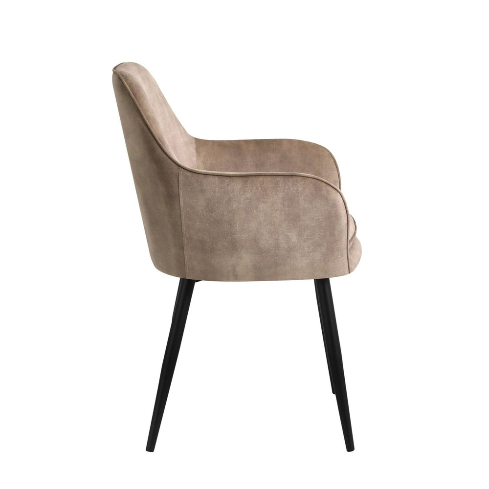 Levan Dining Chair - Champagne Adore Velvet