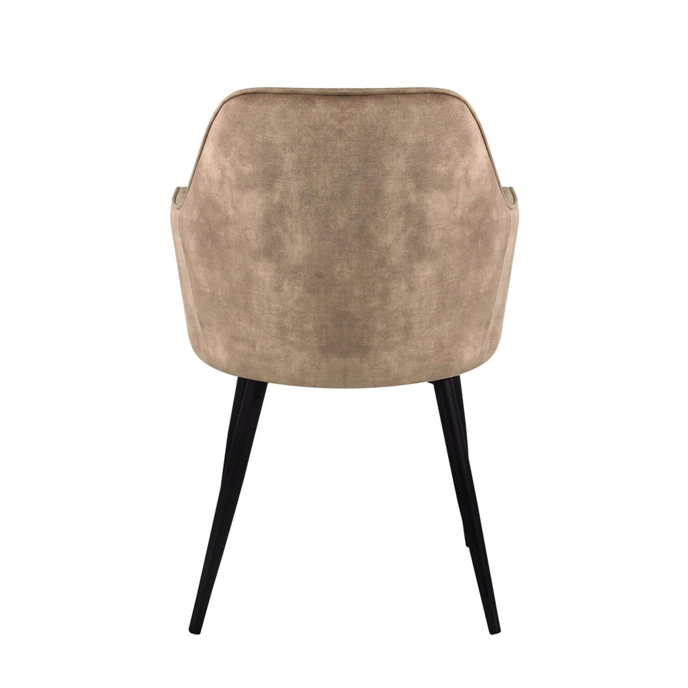 Levan Dining Chair - Champagne Adore Velvet