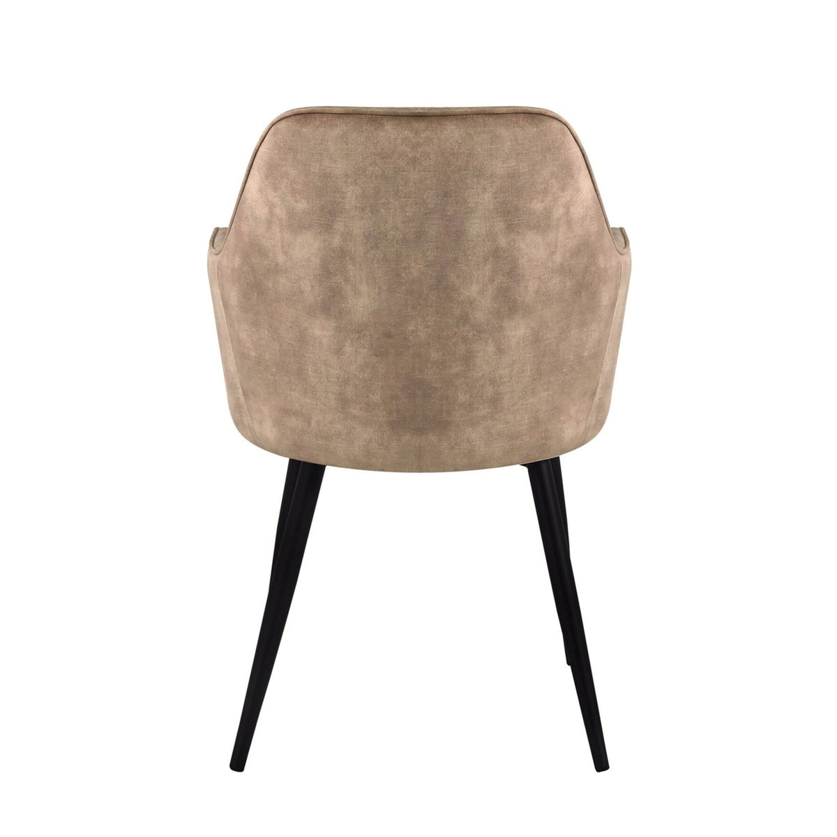 Levan Dining Chair - Champagne Adore Velvet