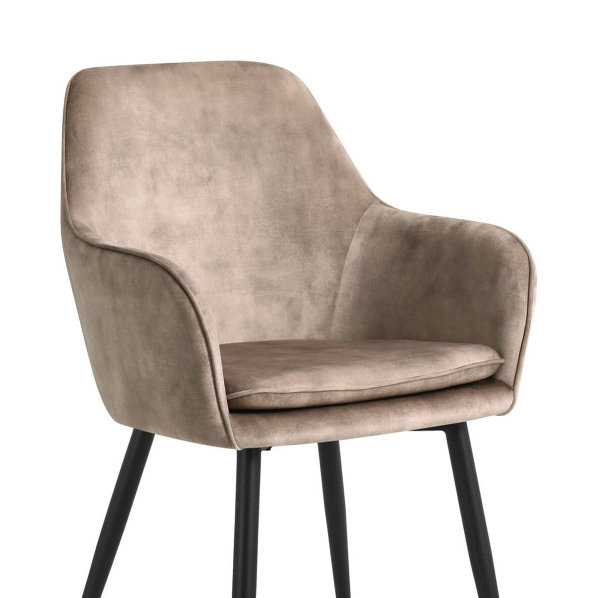 Levan Dining Chair - Champagne Adore Velvet
