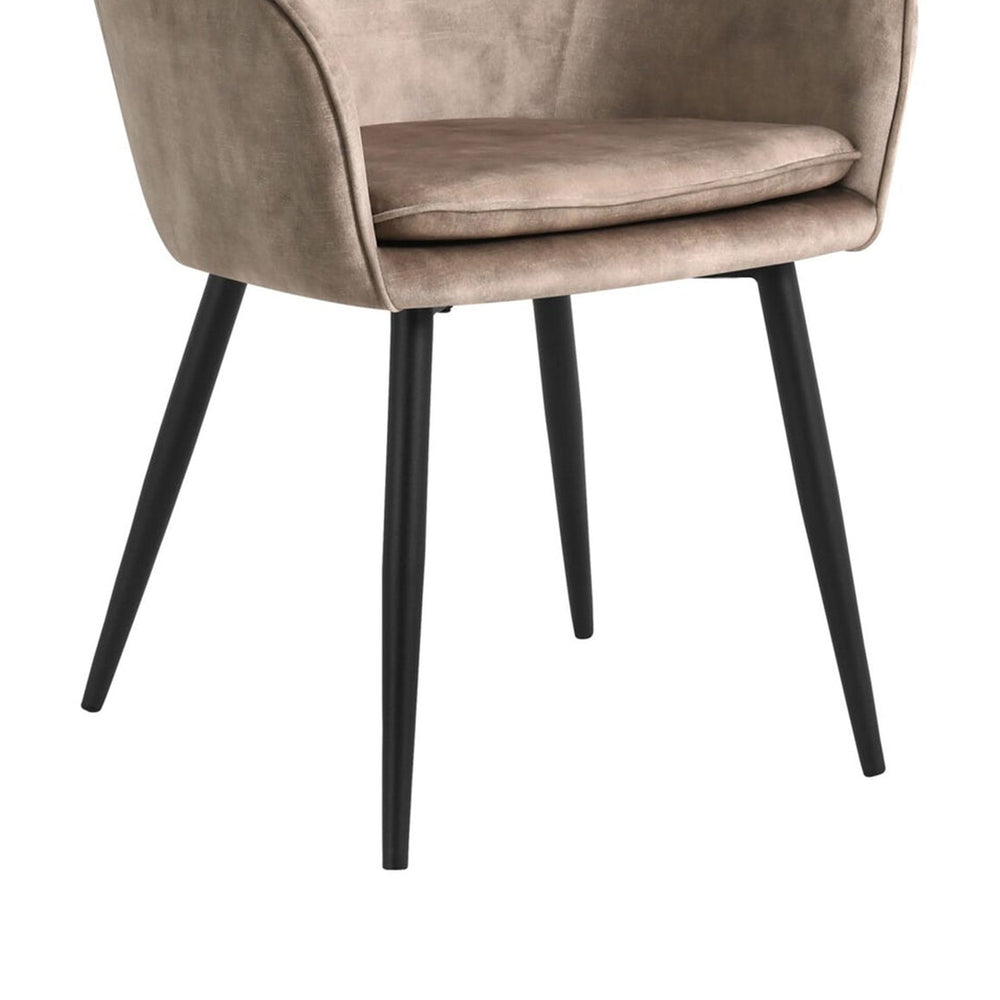Levan Dining Chair - Champagne Adore Velvet