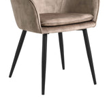 Levan Dining Chair - Champagne Adore Velvet