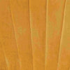 Lesedi Sedia Da Pranzo - Velluto Giallo Ocra